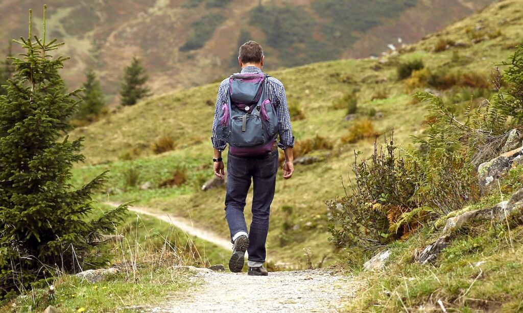 Almhütten Bettwanzen: Ein Wanderer mit Rücksack auf einem Wanderweg in den Bergen