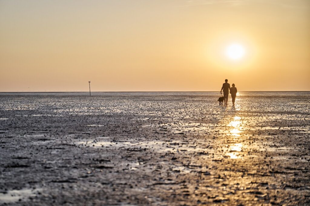 Erlebnisse in Deutschland: Wattwanderung Cuxhaven
Copyright: DZT / Florian Trykowski